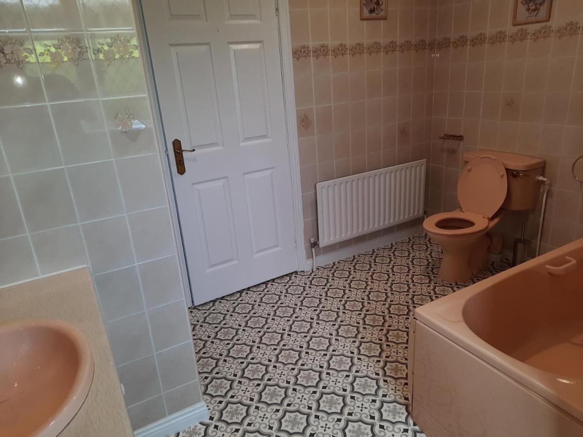 4 Bedroom, 15 Min To Limerick City Quiet Retreat. Bagian luar foto